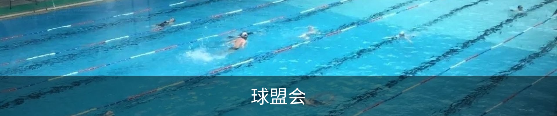 球盟会